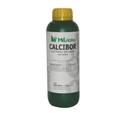 کلسی بور (Calcibor)